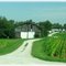 Tobacco Farm