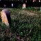 Nameless numbered gravestones at OSH Cemetery