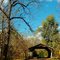 Covered Bridge, Sabetha KS