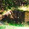 Foundation built into side of Pony Cr. hill