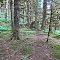 Bear Trail's
