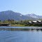 Kodiak Brown Bear Center