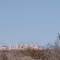Thermal Power Plant