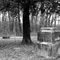 Bachelor's Grove