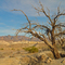 Death Valley