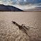 Overheated, Clark Dry Lake - Anza Borrego