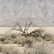 Dry Lakebed