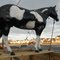 piebald fiberglass stallion and sunny siding