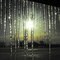 Sunrise through icicles