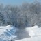 Snow/Frost Storm Feb. 2010