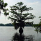 Lake Bruin, Louisiana