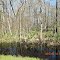 US65 bayou