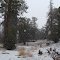 Big Bear Late October