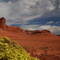 Arizona's image