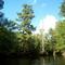 Castor Creek