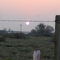 Buttonwillow