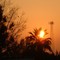 Buttonwillow Sunrise