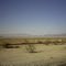 Large western desert. More to come. California. USA