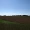 Prairie