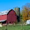 Red Barns