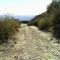 cucamonga mountain 1N34