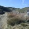 6N04 Off Bouquet Canyon Road