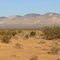 California City