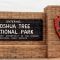 ~~Joshua Tree National Park ~~