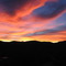Joshua tree, cottonwood springs
