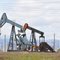 Pumpjacks (Erdölfördersonden)  Lost Hills (2011-05-08)