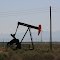 Oil