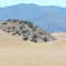 Along Hwy 166 near New Cuyama