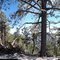 Tehahapi Mountain Panorama