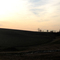 Field at Sunset