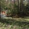 Lumber River Tributary NC