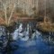 NC swamp