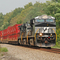 NS on the Rathole