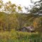 Abandoned Barn in Adair Wildlife Management Area
