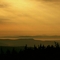 Beyond the Treeline.