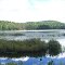 Round Pond
