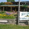 Killdeer Farm Stand