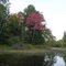 Runaround Pond, 9/23/10