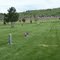 Memorial Day Flags Grandview Cemetery La Grande Oregon
