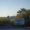 Mittry lake best fishing in Arizona