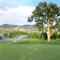 Birch Creek #9