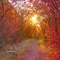 Fall Sunset in Logan's Dry Canyon