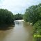 Comite River @ Dyer Road North View