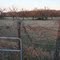Scenic Fenceline