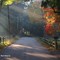 Pond Street (Natick) MA