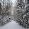 Brewster Peninsula Nature Trails